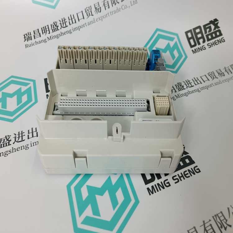 3BSE017427R1(图2)