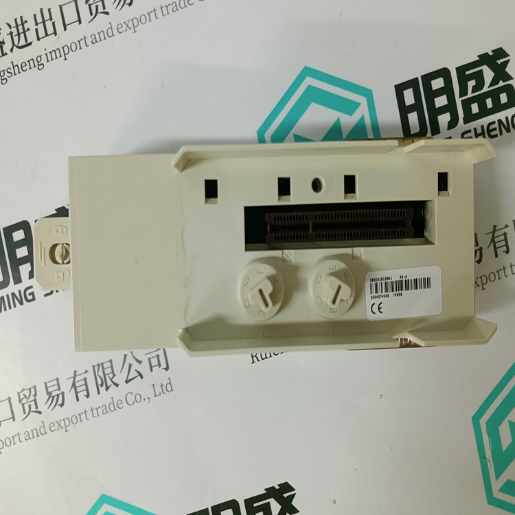 3BSE018138R1(图5)