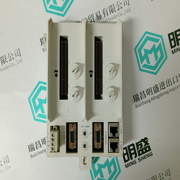 3BSE022462R1(图4)