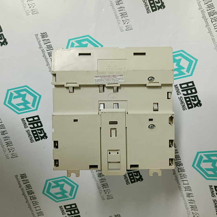 3BSE010796R1(图1)
