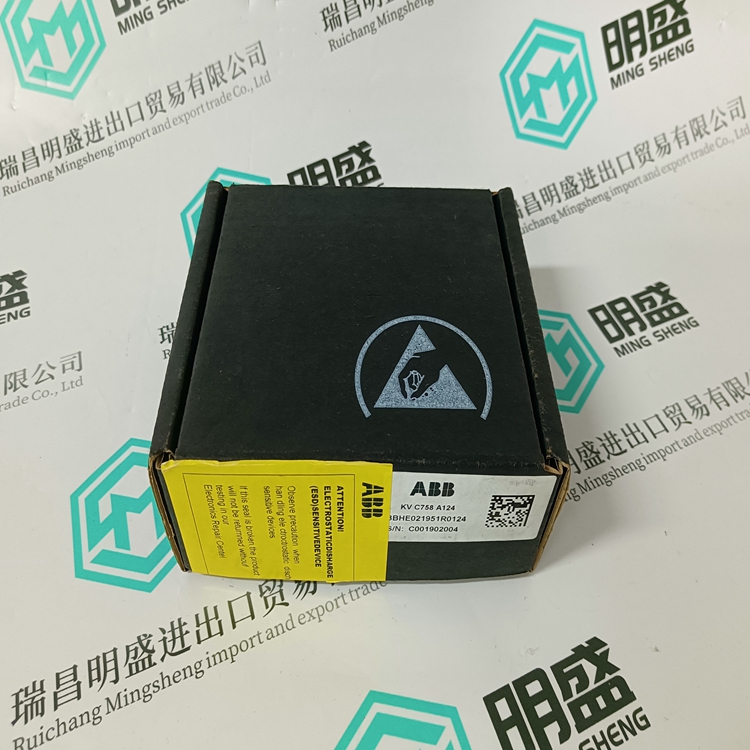 3BHE021951R1024(图5)