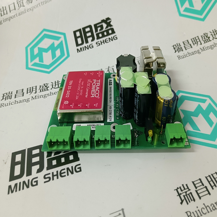 3BHE021951R1024(图2)