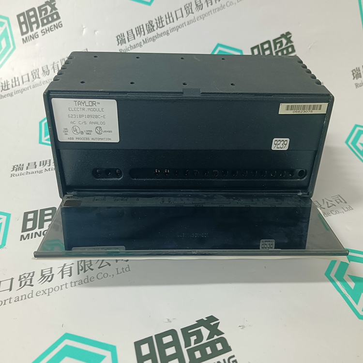 GE 6231BP10910(图2)