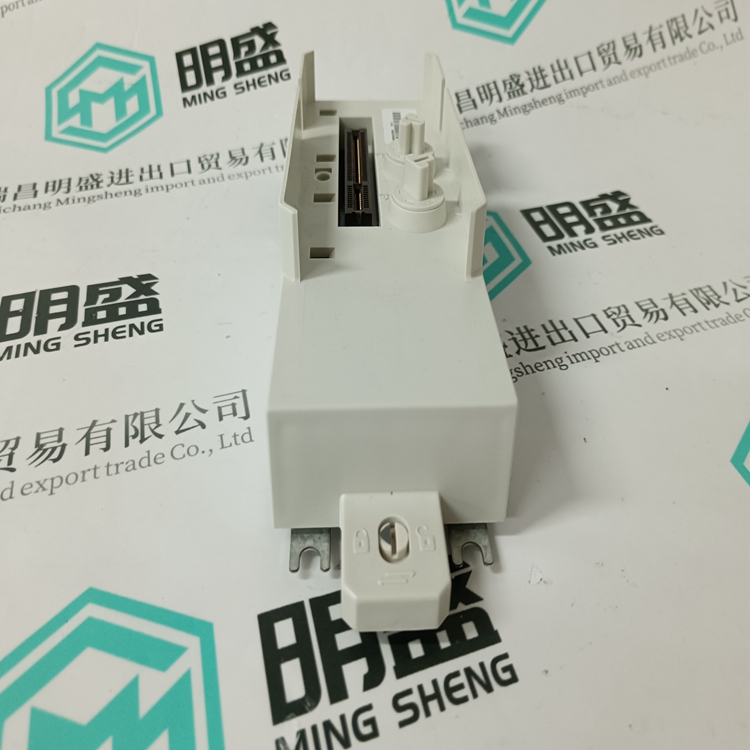 3BSE018138R1(图2)