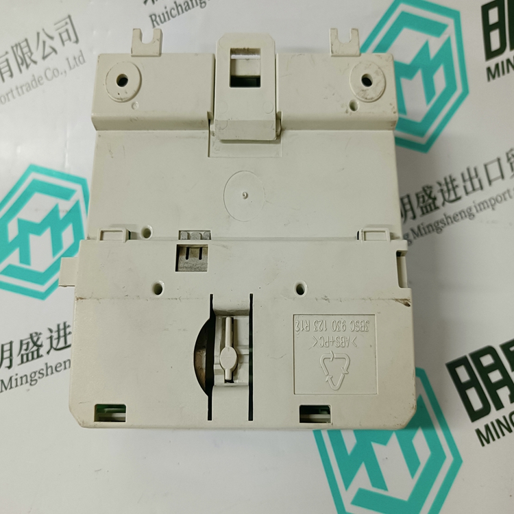 3BSE013175R1(图1)
