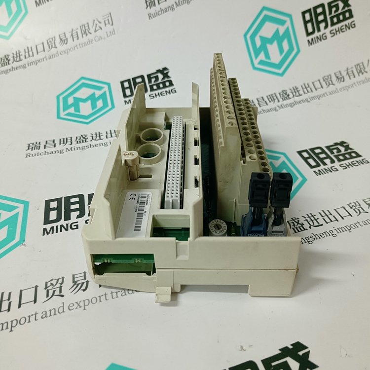 3BSE013175R1(图3)