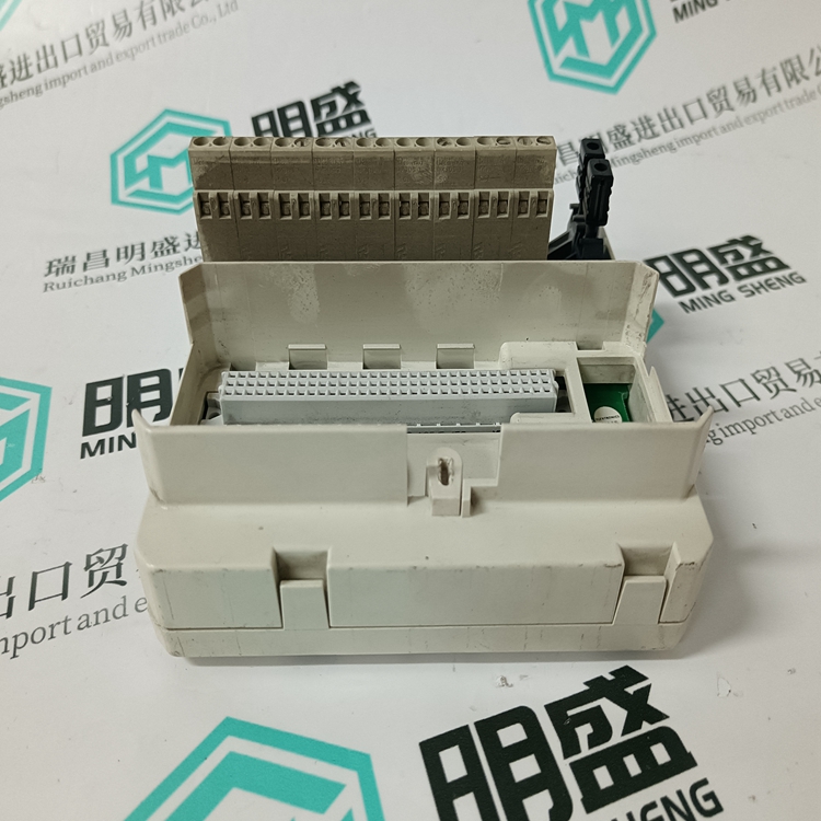 3BSE013175R1(图4)