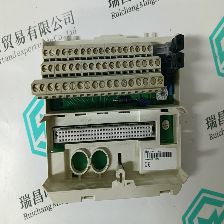 3BSE013175R1(图5)