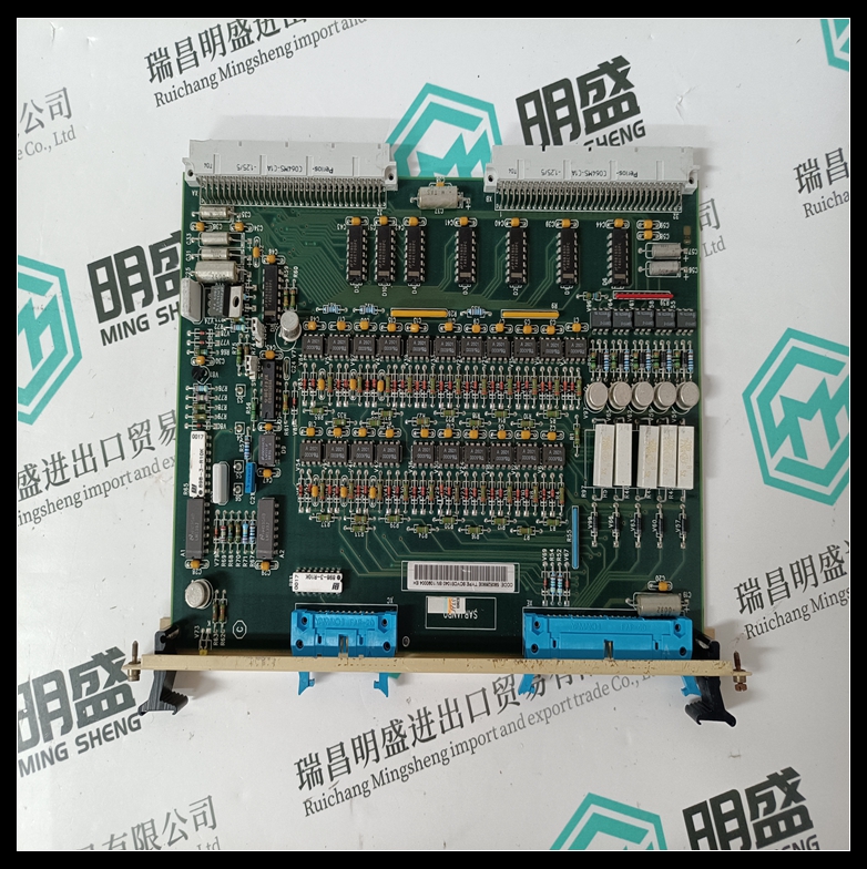 SCYC51040