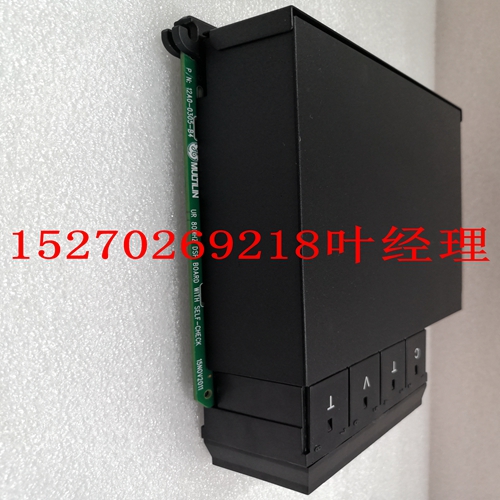 IS200BLIGH1A控制卡件,模块卡件