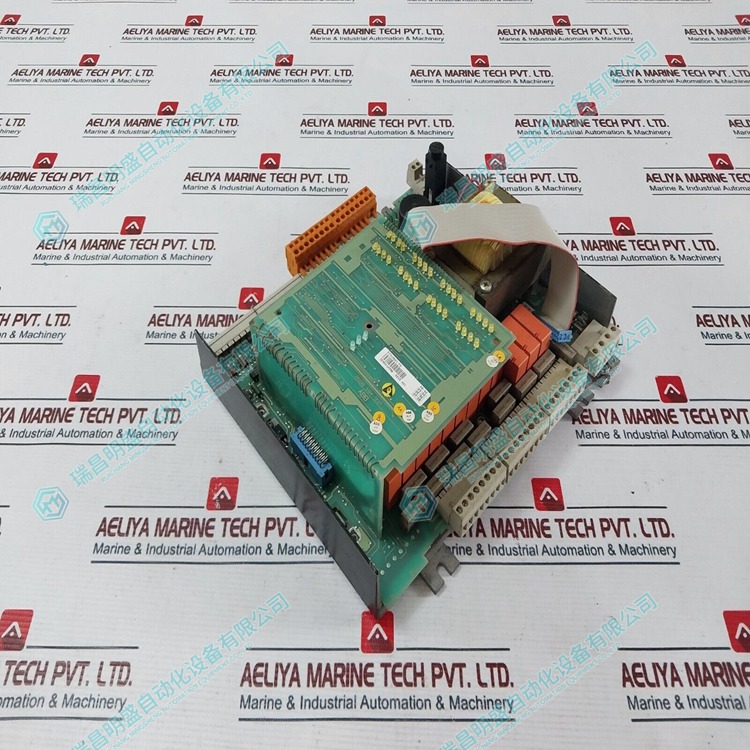 DSDX451  过程控制器