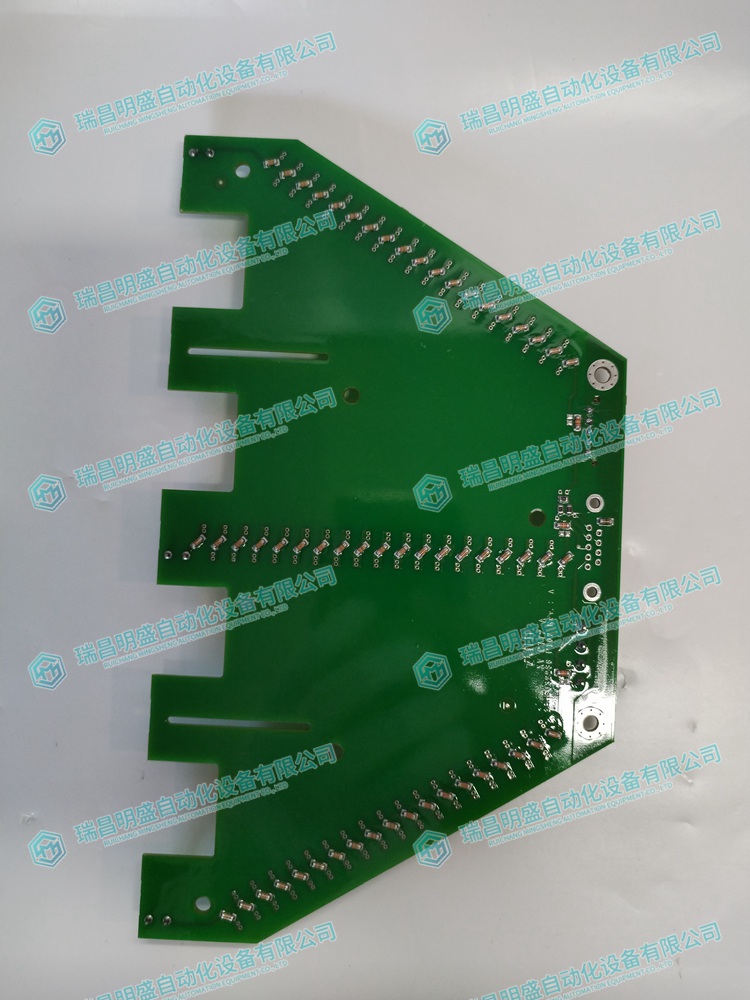 00aa9010698425daf52943a7a265a242_3-24050913393L43.jpg